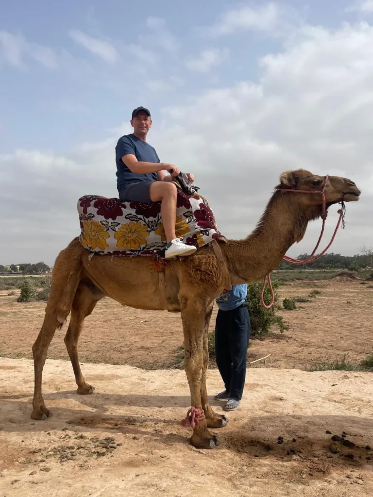 Man sitting on a decorated camel in a dry, open landscape