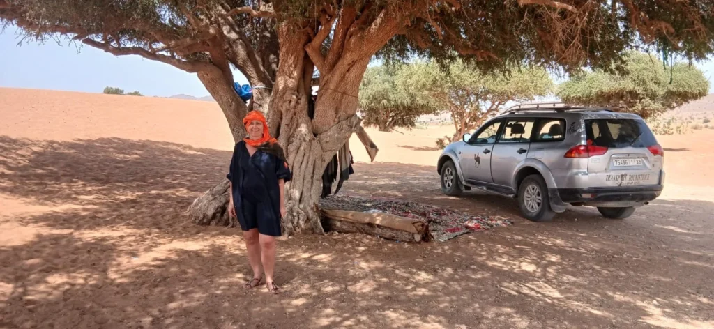 Silver 4x4 jeep parked on sand beside a large tree with a person standing in the shade