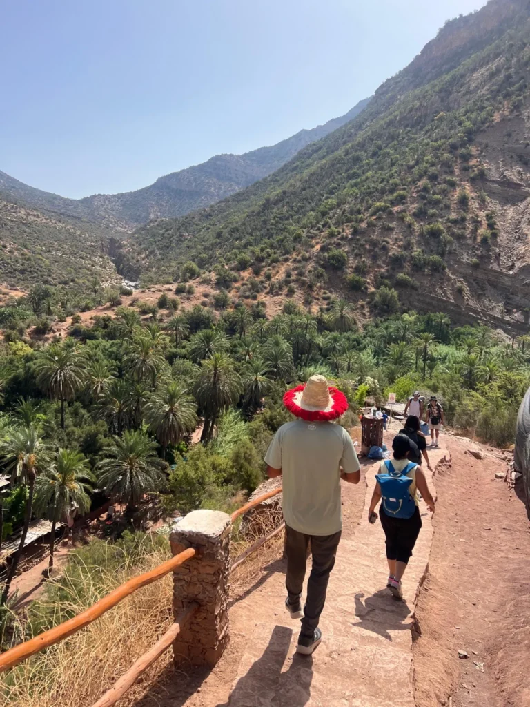 Hikers on a stone walking path above a palm grove in a mountain valley